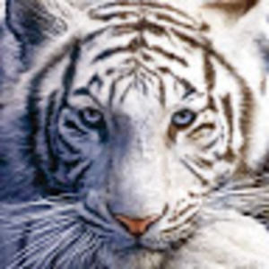 Meet your Posher, Mariah